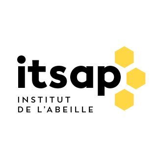 logo Itsap